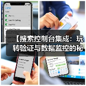 【搜索控制台集成：玩转验证与数据监控的秘密武器】（图3）