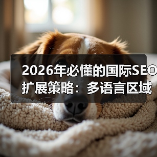 2026年必懂的国际SEO扩展策略:多语言区域排名全解析(图4) 2026年必懂的国际SEO扩展策略:多语言区域排名全解析(图4)