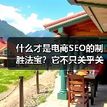 什么才是电商SEO的制胜法宝?它不只关乎关键词堆砌,而是从产品优化到转化提升的全局策略。一家曾经濒临崩溃的中小电商平台,通过一次彻底的电商SEO案例研究,逆转了(图1) 什么才是电商SEO的制胜法宝?它不只关乎关键词堆砌,而是从产品优化到转化提升的全局策略。一家曾经濒临崩溃的中小电商平台,通过一次彻底的电商SEO案例研究,逆转了(图1)