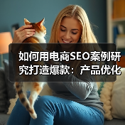 如何用电商SEO案例研究打造爆款:产品优化与转化提升秘籍(图1) 如何用电商SEO案例研究打造爆款:产品优化与转化提升秘籍(图1)