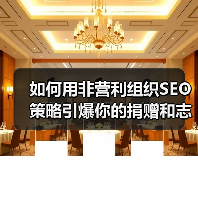 如何用非营利组织SEO策略引爆你的捐赠和志愿者招募(图3) 如何用非营利组织SEO策略引爆你的捐赠和志愿者招募(图3)