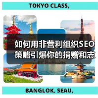 如何用非营利组织SEO策略引爆你的捐赠和志愿者招募(图2) 如何用非营利组织SEO策略引爆你的捐赠和志愿者招募(图2)