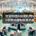 非营利组织如何利用SEO获取捐赠和招募志愿者(图3) 非营利组织如何利用SEO获取捐赠和招募志愿者(图3)