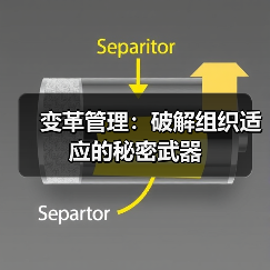 变革管理:破解组织适应的秘密武器(图4) 变革管理:破解组织适应的秘密武器(图4)