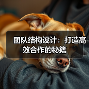团队结构设计：打造高效合作的秘籍（图4）
