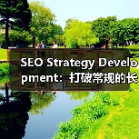 SEO Strategy Development:打破常规的长远规划秘籍(图3) SEO Strategy Development:打破常规的长远规划秘籍(图3)