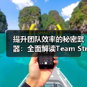 提升团队效率的秘密武器：全面解读Team Structure Design的核心要素（图3）