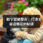 数字营销整合:打造全渠道爆发的秘诀(图1) 数字营销整合:打造全渠道爆发的秘诀(图1)