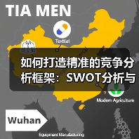 如何打造精准的竞争分析框架:SWOT分析与机会识别的秘密武器(图4) 如何打造精准的竞争分析框架:SWOT分析与机会识别的秘密武器(图4)