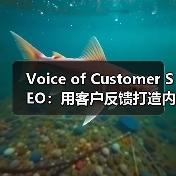 Voice of Customer SEO：用客户反馈打造内容灵感与流量奇迹（图4）