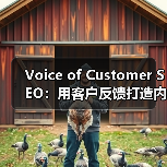 Voice of Customer SEO：用客户反馈打造内容灵感与流量奇迹（图1）