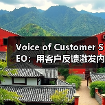 Voice of Customer SEO:用客户反馈激发内容创意的终极秘籍(图2) Voice of Customer SEO:用客户反馈激发内容创意的终极秘籍(图2)