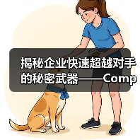 揭秘企业快速超越对手的秘密武器——Competitor Benchmarking(图1) 揭秘企业快速超越对手的秘密武器——Competitor Benchmarking(图1)