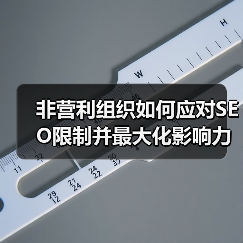 非营利组织如何应对SEO限制并最大化影响力(图1) 非营利组织如何应对SEO限制并最大化影响力(图1)