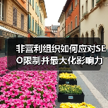 非营利组织如何应对SEO限制并最大化影响力(图3) 非营利组织如何应对SEO限制并最大化影响力(图3)