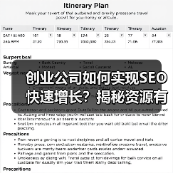 创业公司如何实现SEO快速增长?揭秘资源有限环境下的突破之道(图3) 创业公司如何实现SEO快速增长?揭秘资源有限环境下的突破之道(图3)
