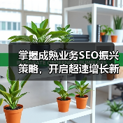 掌握成熟业务SEO振兴策略,开启超速增长新纪元(图4) 掌握成熟业务SEO振兴策略,开启超速增长新纪元(图4)