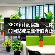 SEO审计到实施:让你的网站流量翻倍的真正关键(图4) SEO审计到实施:让你的网站流量翻倍的真正关键(图4)