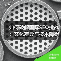 如何破解国际SEO挑战:文化差异与技术障碍的真实应对策略(图2) 如何破解国际SEO挑战:文化差异与技术障碍的真实应对策略(图2)
