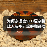 为何多语言SEO复杂性让人头疼？掌握翻译质量与本地化的秘密，
